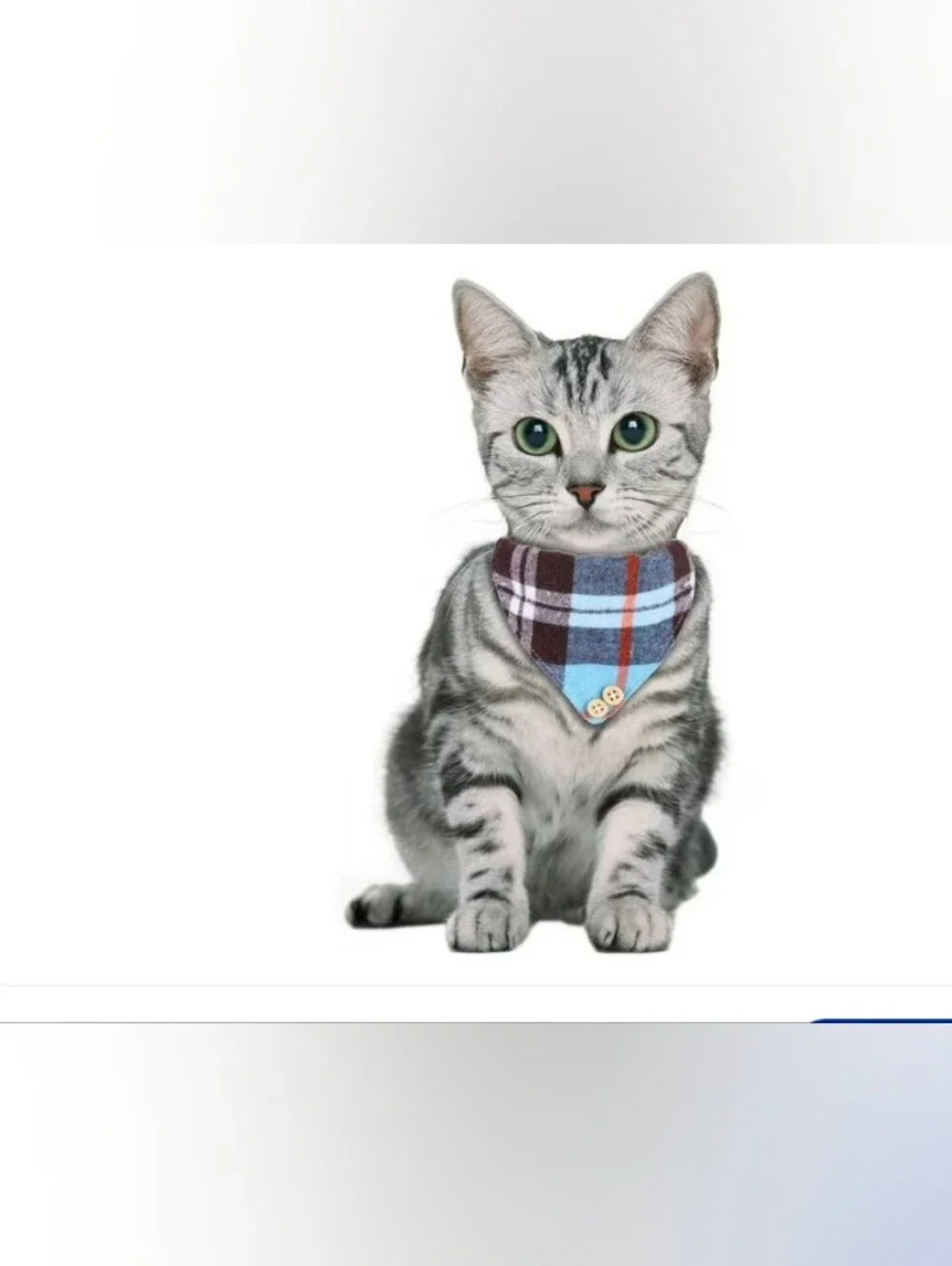 Cat/Kitten 😺 Collar Plaid Bandana with Bells and Bowtie, 2 Packs